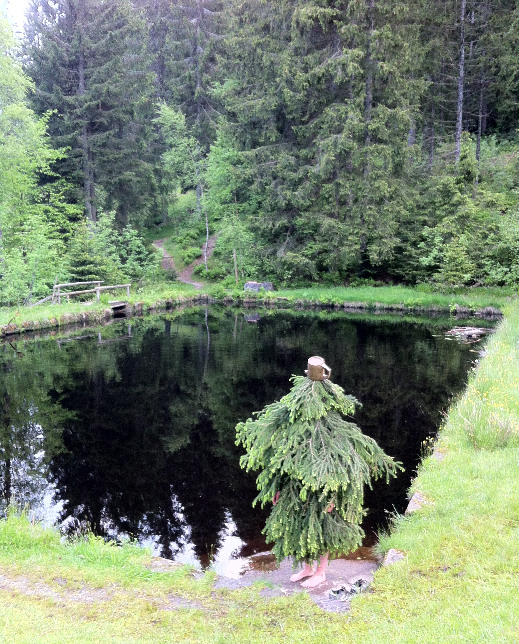 'Tanne am See' / Fotografie aus dem Projekt 'Narri Narro' / Villingen-Schwenningen