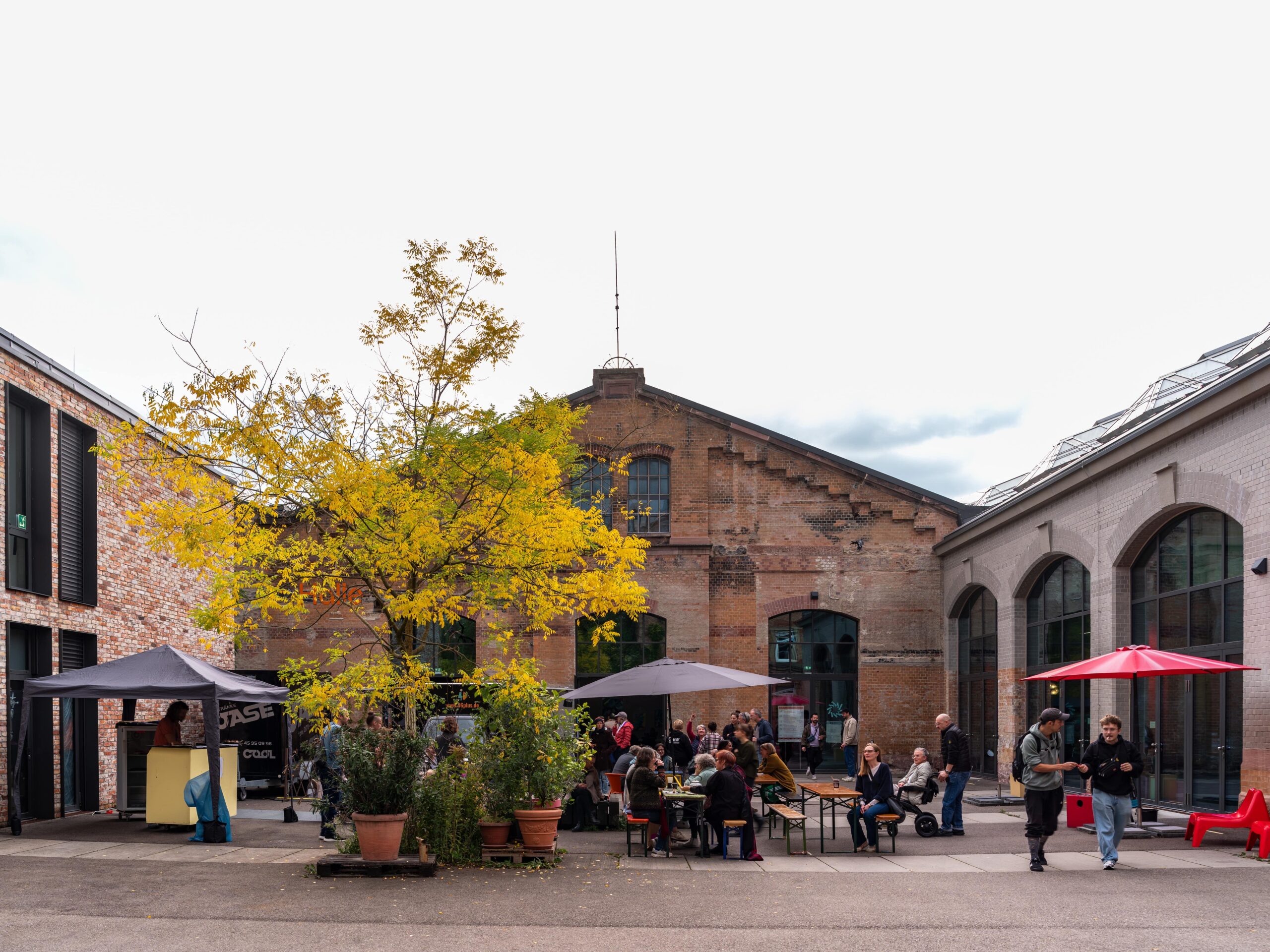 ©Victor S. Brigola Photography